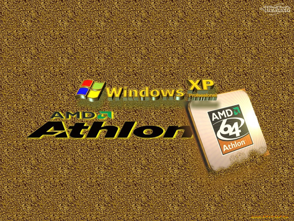 , amd